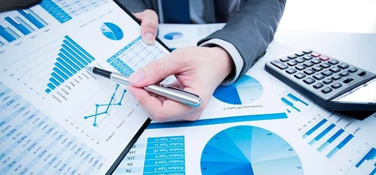 Reading and Understanding Company Reports